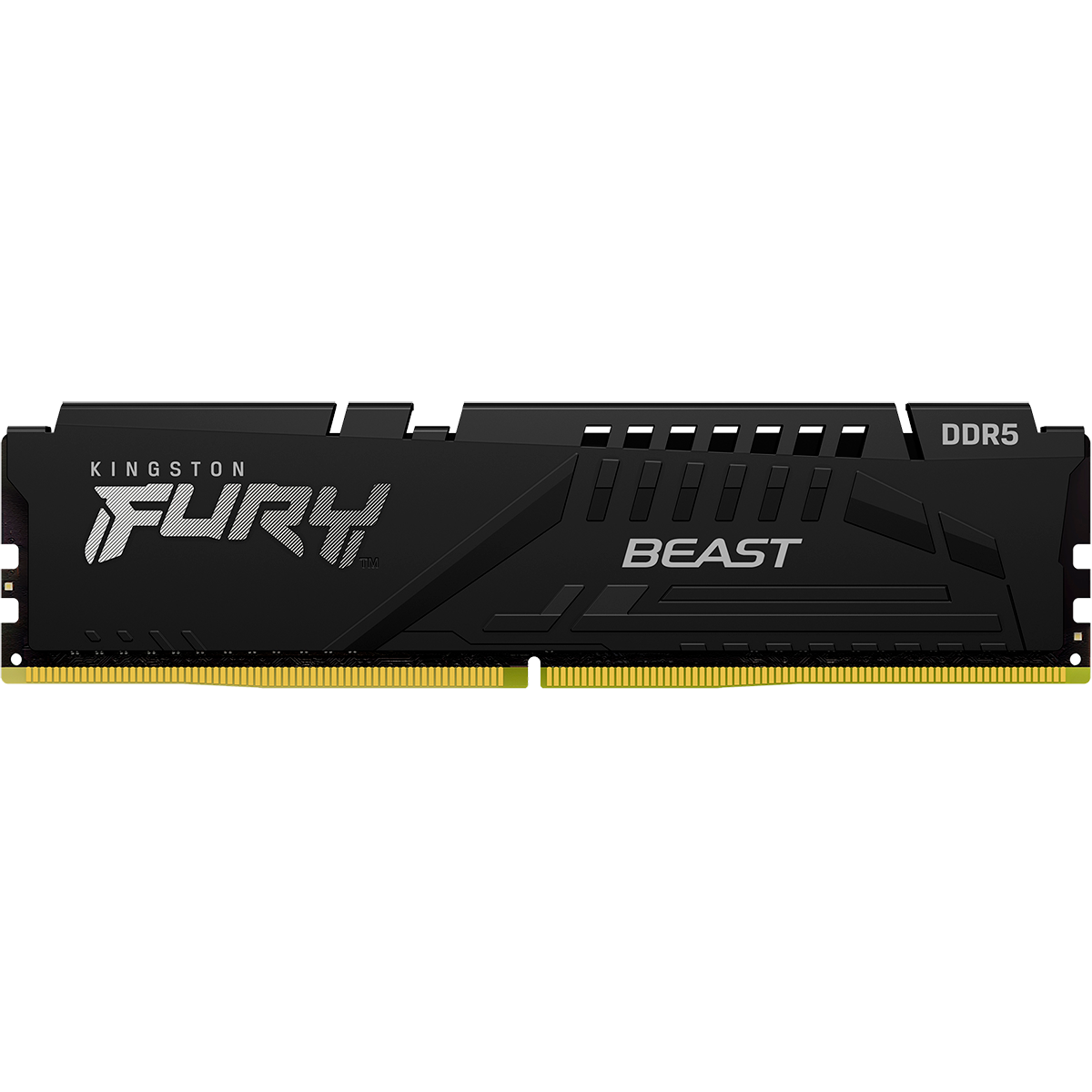 Память оперативная Kingston FURY Beast Black KF556C40BB-16